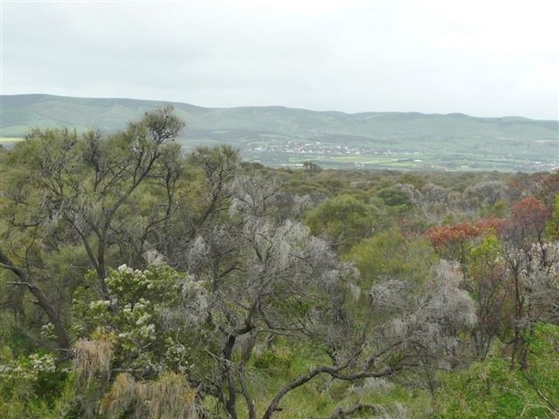 18/209 Esplanade, Aldinga Beach SA 5173