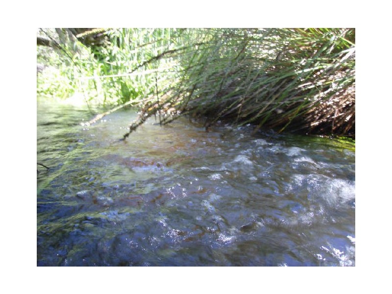 Lot 3 Cleland Gully Road, Mount Compass SA 5210