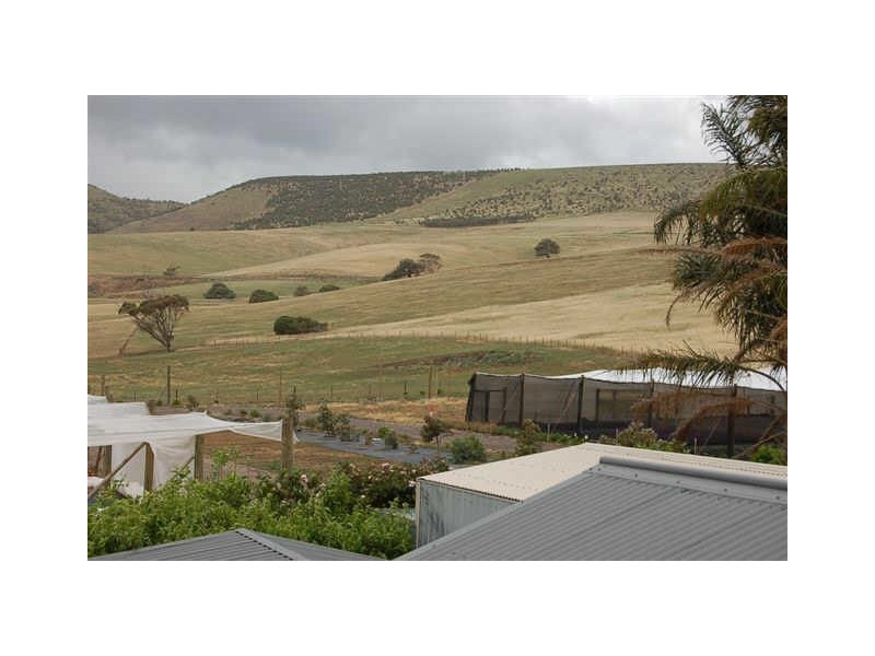 39 Napier Avenue, Sellicks Beach SA 5174