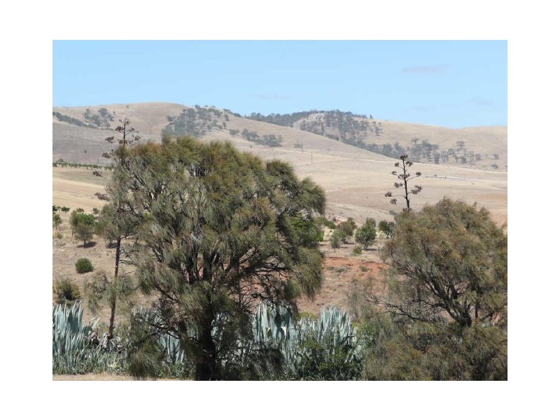 12 Esplanade, Sellicks Beach SA 5174