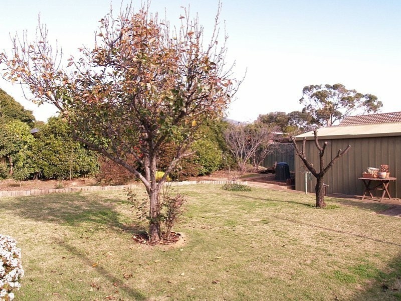 24 Ackland Avenue, Christies Beach SA 5165