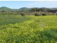 Lot 133 Shoreline Avenue, Sellicks Beach SA 5174