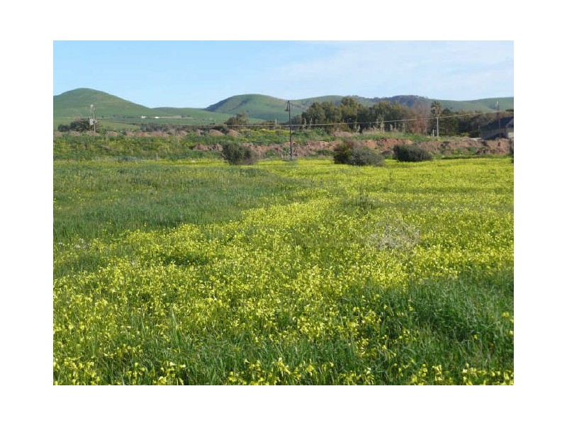 Lot 133 Shoreline Avenue, Sellicks Beach SA 5174