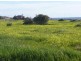 Lot 133 Shoreline Avenue, Sellicks Beach SA 5174