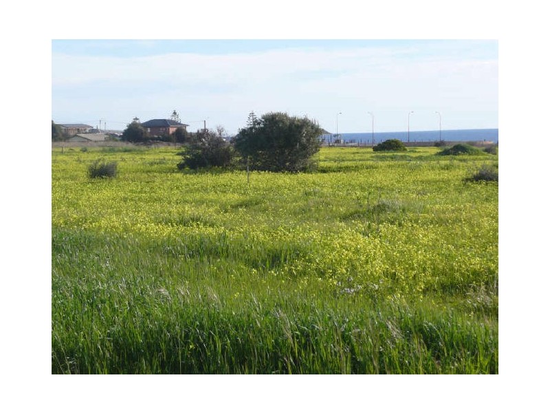 Lot 133 Shoreline Avenue, Sellicks Beach SA 5174