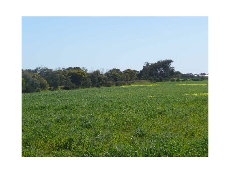 Pt Sec 436 Cox Road, Aldinga Beach SA 5173