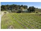 690 Blewitt Springs Road, Blewitt Springs SA 5171