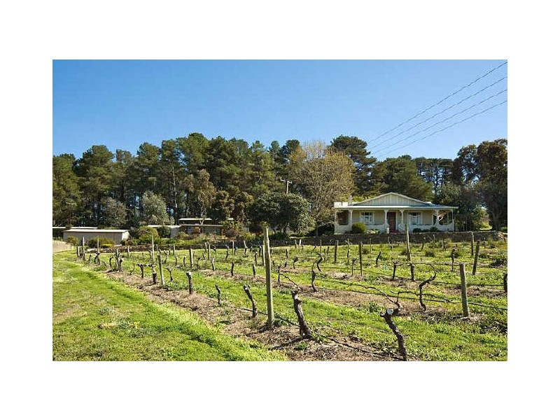 690 Blewitt Springs Road, Blewitt Springs SA 5171