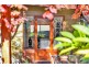 86 Dover Street, Aldinga Beach SA 5173