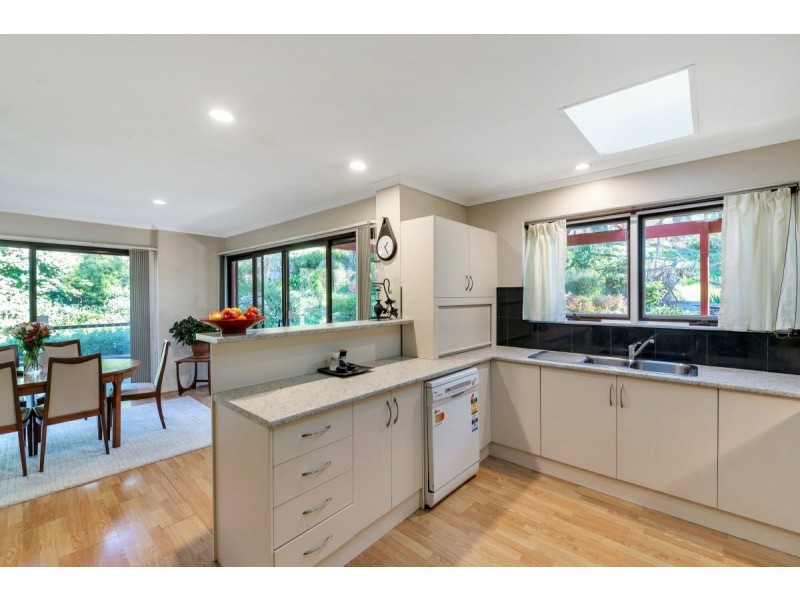 16 Rustic Avenue, Coromandel Valley SA 5051