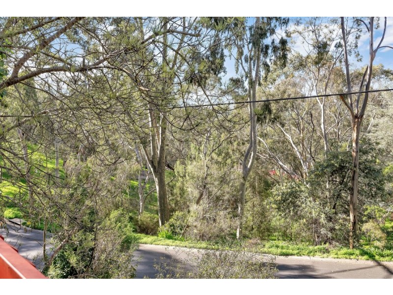 16 Rustic Avenue, Coromandel Valley SA 5051