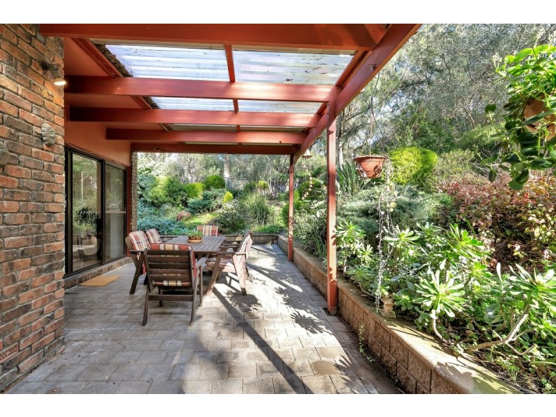 16 Rustic Avenue, Coromandel Valley SA 5051