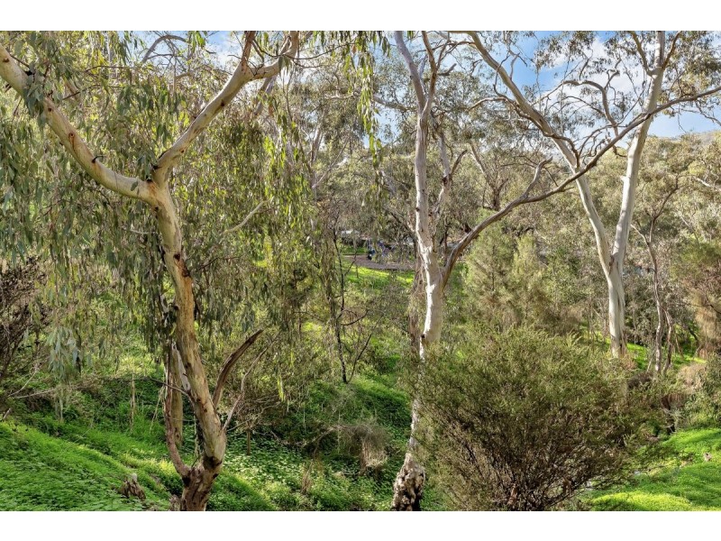 16 Rustic Avenue, Coromandel Valley SA 5051