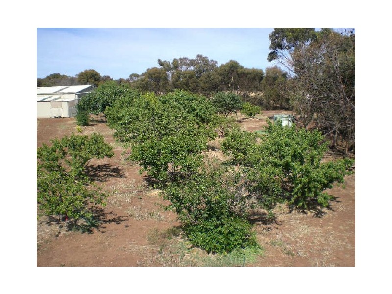 Lot 53 Tuit Road, Maslin Beach SA 5170