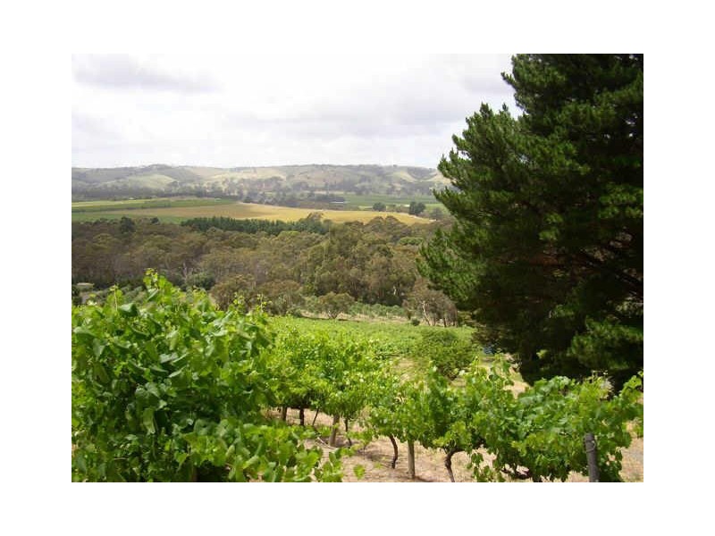 RSD690 Blewitt Springs Road, Blewitt Springs SA 5171