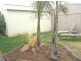 12 Preston Court, Moana SA 5169