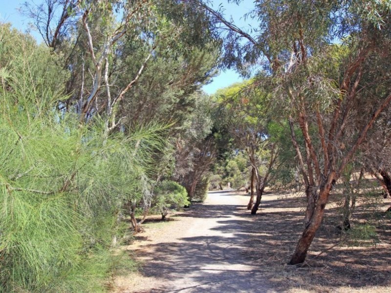 29 Mindarie Street, Port Willunga SA 5173