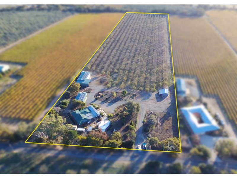 306 Ryan Road, Sellicks Hill SA 5174