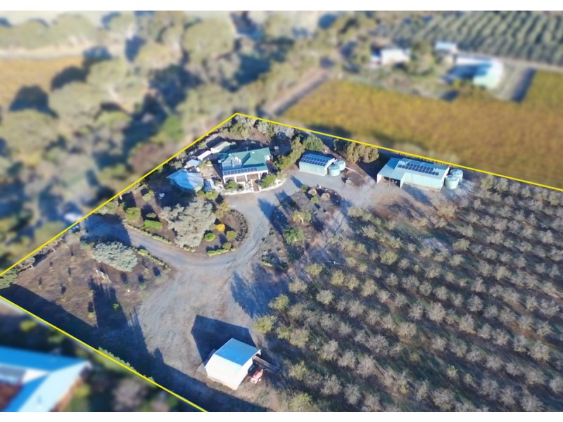 306 Ryan Road, Sellicks Hill SA 5174