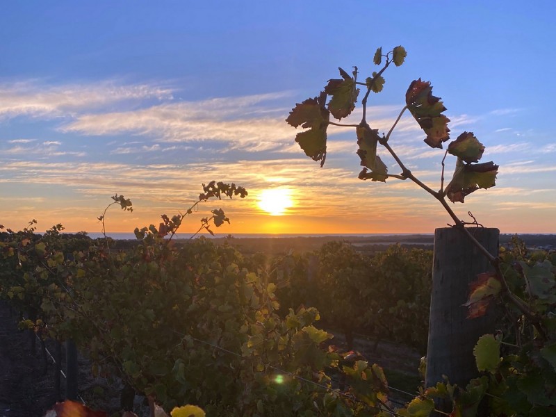 448 Plains Road, Sellicks Hill SA 5174