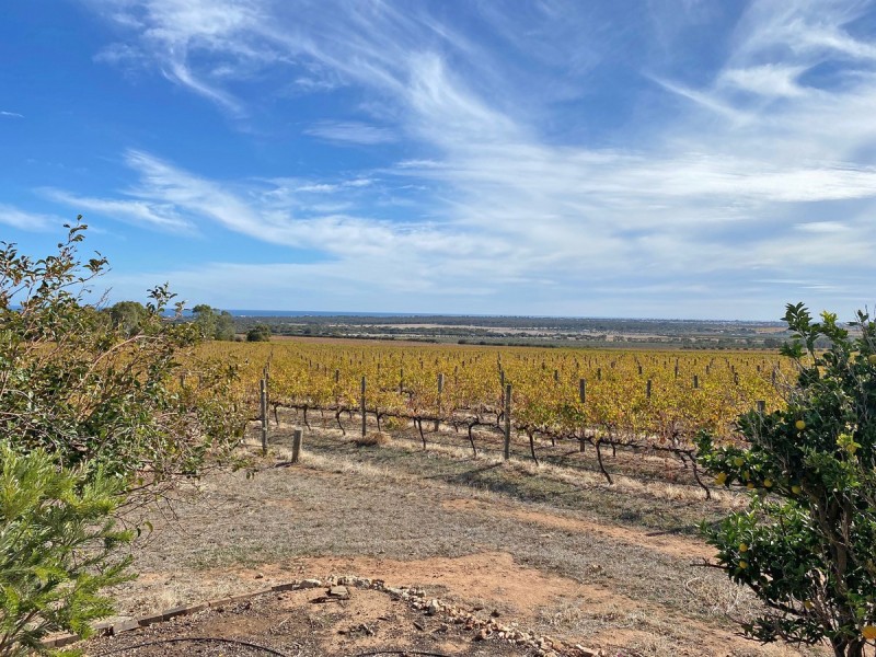 448 Plains Road, Sellicks Hill SA 5174