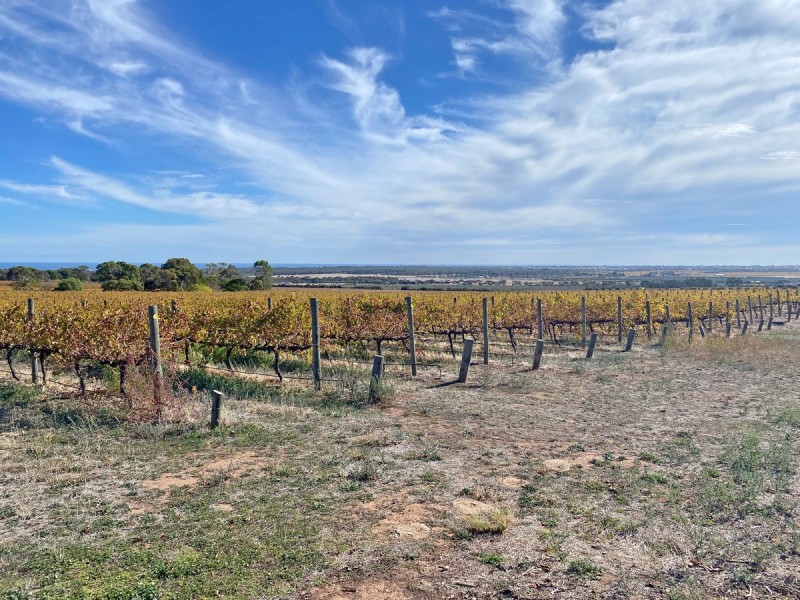 448 Plains Road, Sellicks Hill SA 5174