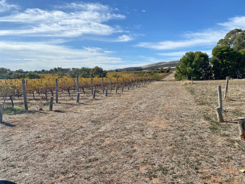 448 Plains Road, Sellicks Hill SA 5174