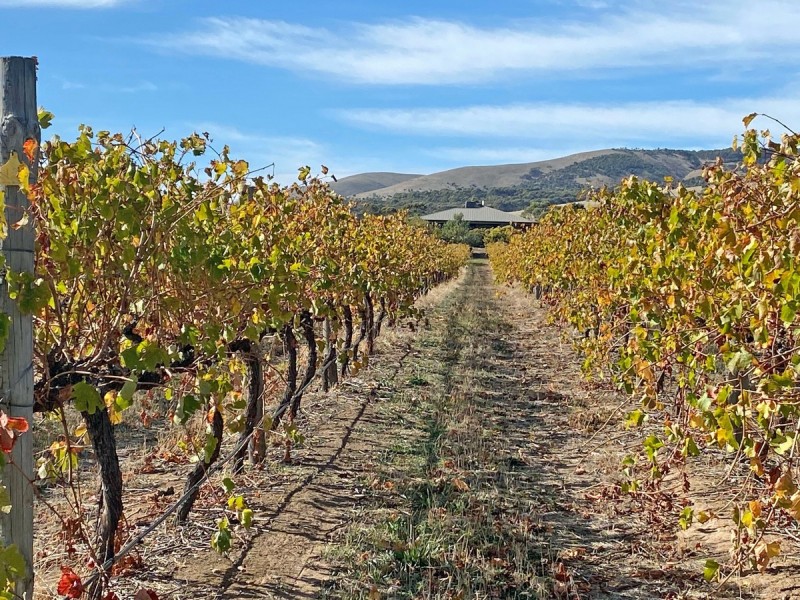 448 Plains Road, Sellicks Hill SA 5174