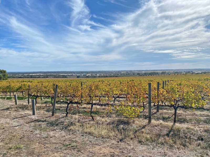 448 Plains Road, Sellicks Hill SA 5174