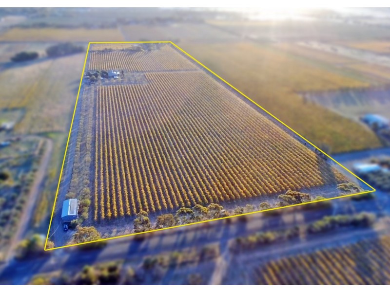 448 Plains Road, Sellicks Hill SA 5174