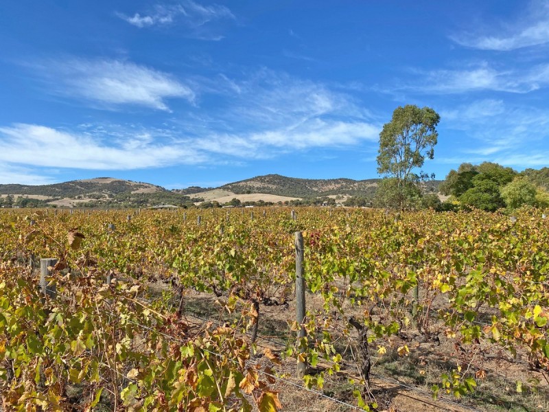 448 Plains Road, Sellicks Hill SA 5174