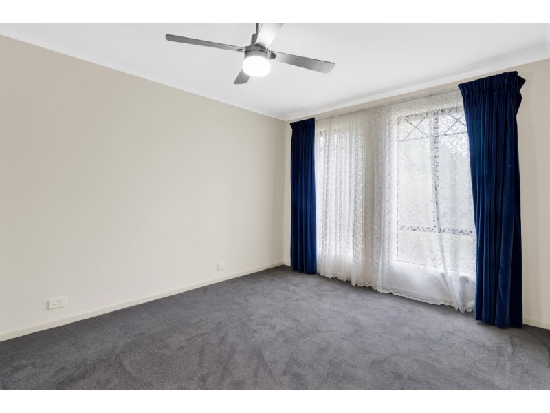 17 Doctors Road, Morphett Vale SA 5162