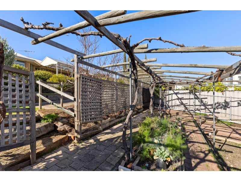 16 Horizon Avenue, Seaford Rise SA 5169