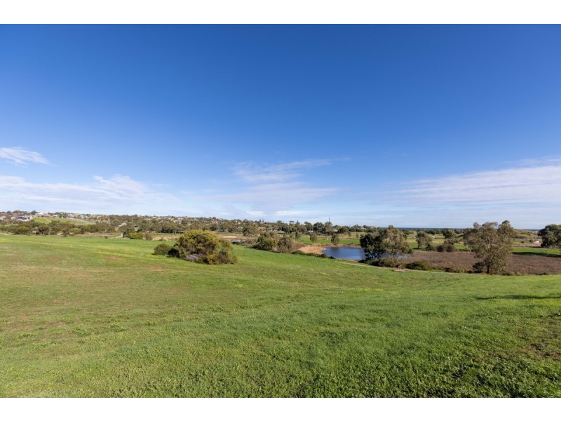 16 Horizon Avenue, Seaford Rise SA 5169
