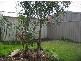 12 Preston Court, Moana SA 5169