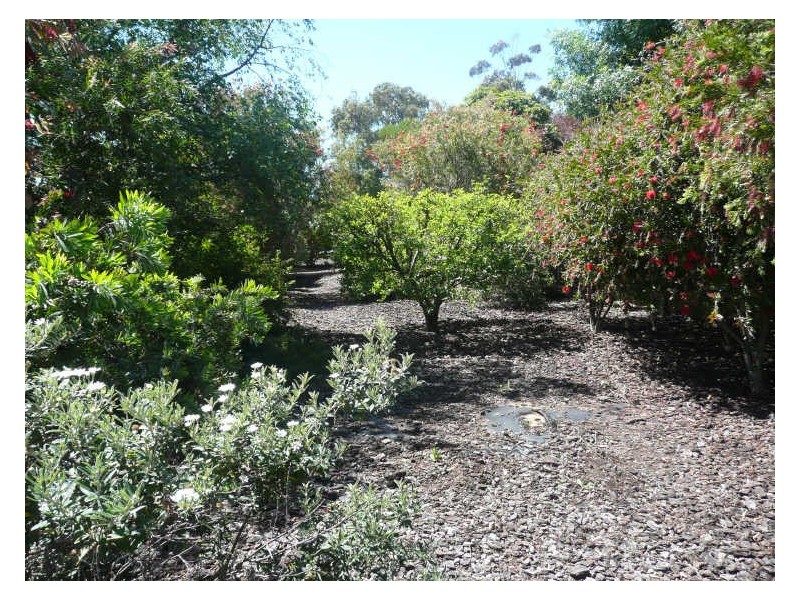 11 Andrew Henning Place, Willunga SA 5172