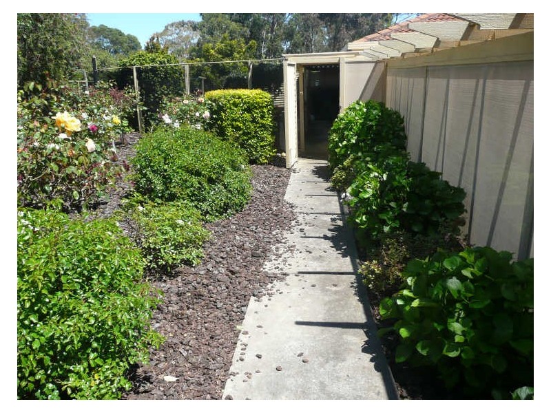 11 Andrew Henning Place, Willunga SA 5172