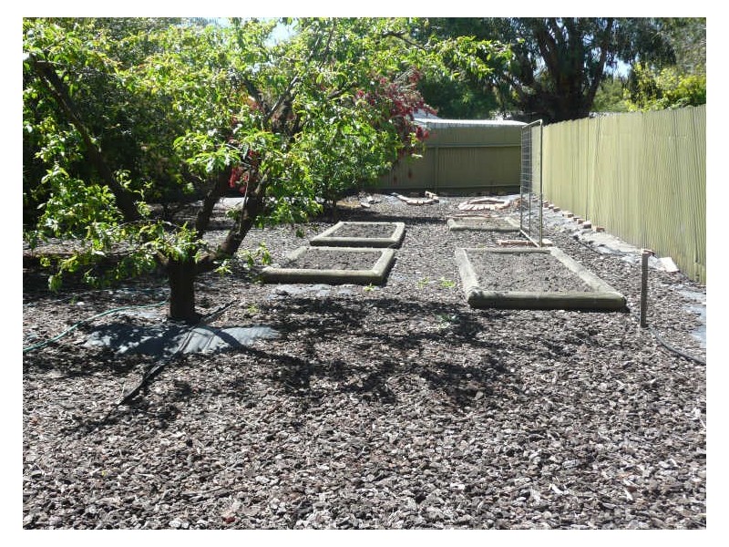 11 Andrew Henning Place, Willunga SA 5172