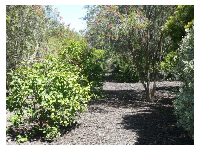 11 Andrew Henning Place, Willunga SA 5172