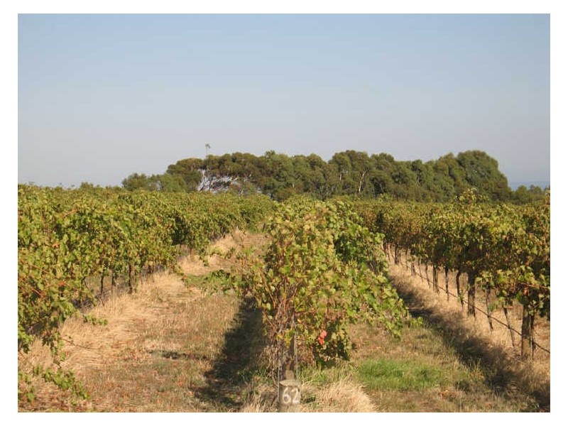 Lot 338 Rogers Road, Sellicks Hill SA 5174