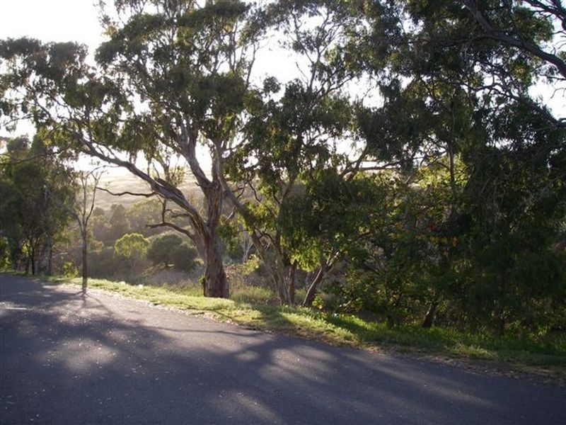 2/17 Paringa Parade, Old Noarlunga SA 5168