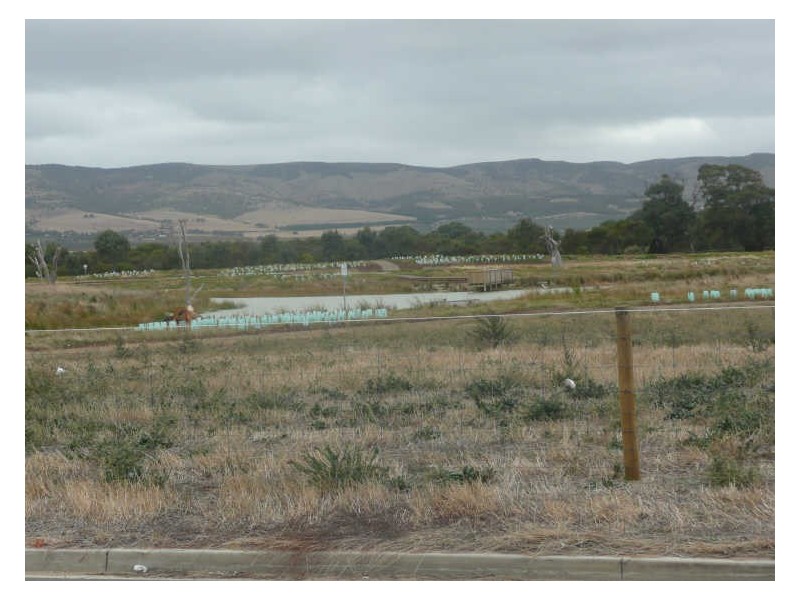 346/ Cobalt Place, Aldinga Beach SA 5173