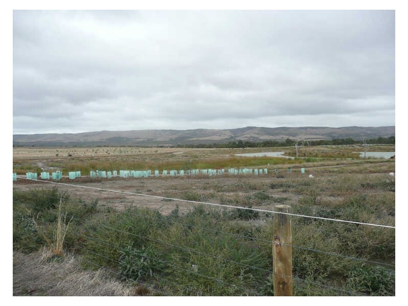 346/ Cobalt Place, Aldinga Beach SA 5173