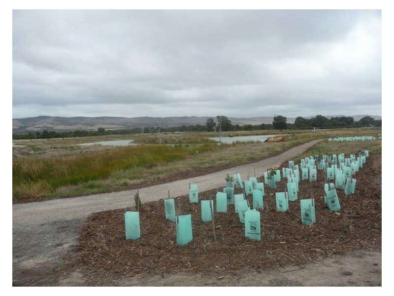 346/ Cobalt Place, Aldinga Beach SA 5173