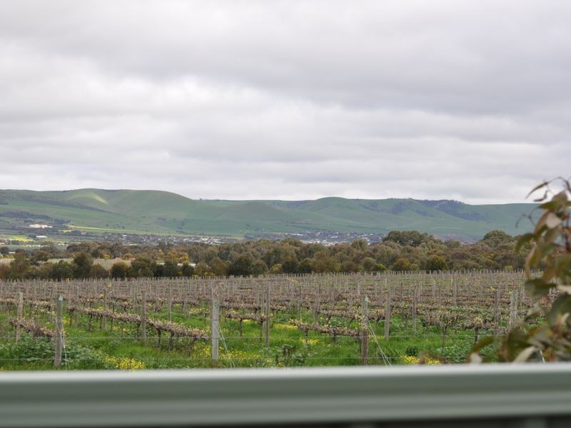 6 Moss Court, Aldinga Beach SA 5173