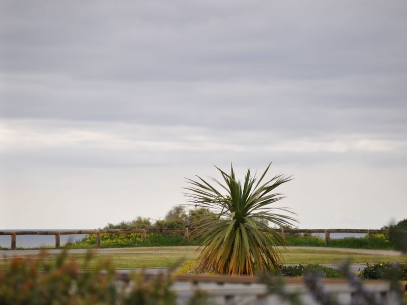 1 Hunt Street, Port Willunga SA 5173