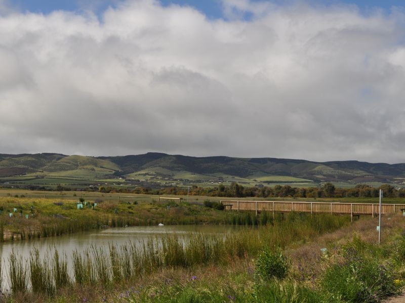 Lot 341 Cobalt Place, Aldinga Beach SA 5173