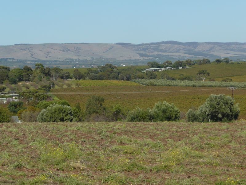Lot 81 Cnr Tatachilla Road and Caffrey Street, Mclaren Vale SA 5171