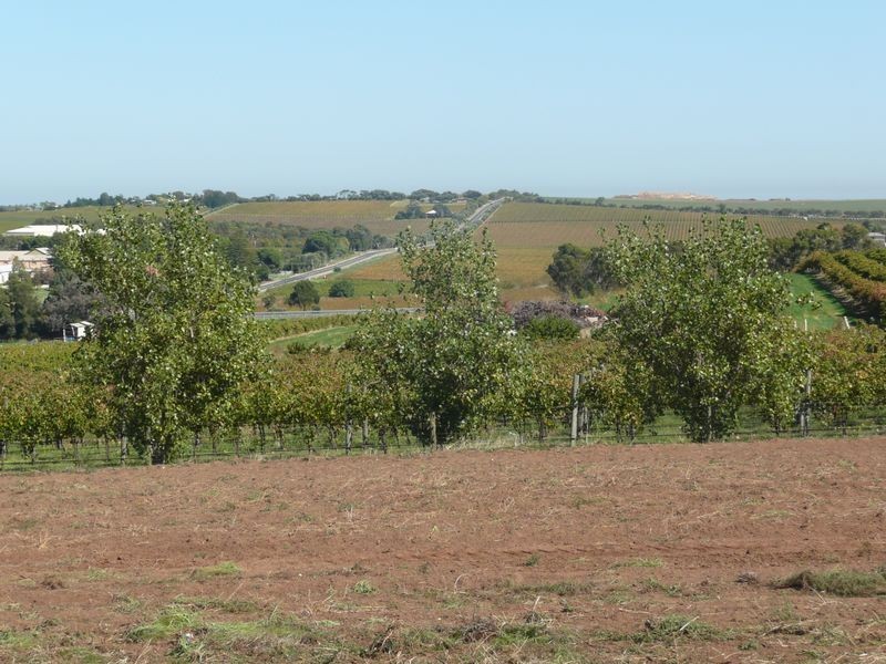 Lot 81 Cnr Tatachilla Road and Caffrey Street, Mclaren Vale SA 5171