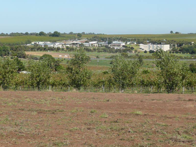 Lot 81 Cnr Tatachilla Road and Caffrey Street, Mclaren Vale SA 5171
